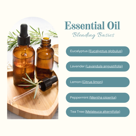 Essential Oil Blending Basics Class ~ 5.7.25