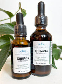 Echinacea Herbal Tincture | Organic Cane Alcohol 