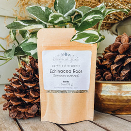 Echinacea (Echinacea angustifolia) Root, Organic