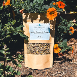 Chamomile German (Matricaria recutita) Flowers, Organic