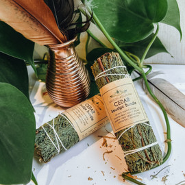Cedar Bundle