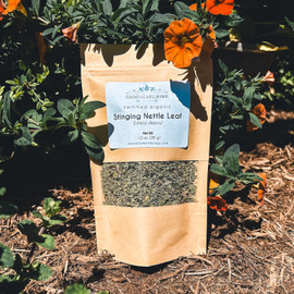 Stinging Nettle (Urtica dioica) Leaf, Organic