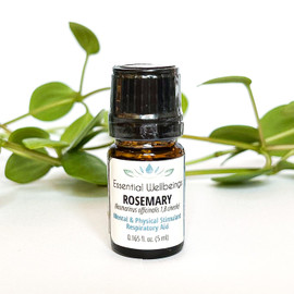 Rosemary (Rosmarinus officinalis ct. cineole) Essential Oil