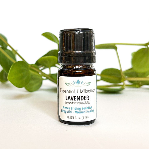 Lavender (Lavandula angustifolia) Essential Oil