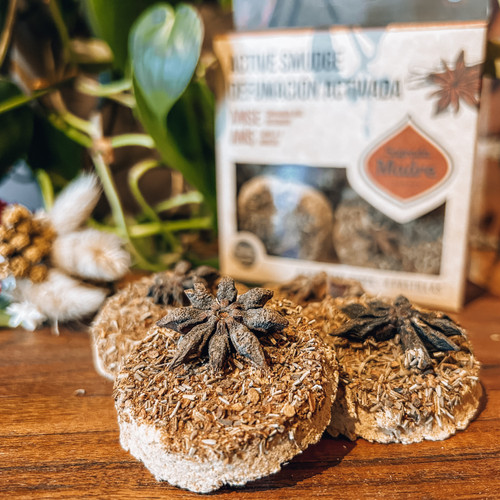  Anise, Cinnamon & Rosemary Charcoal Smudge Discs