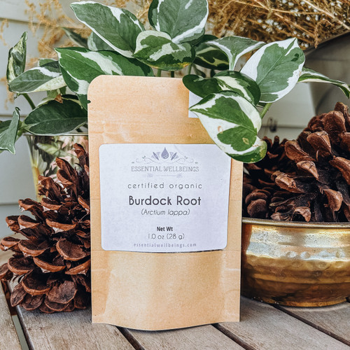 Burdock (Arctium lappa) Root, Organic 