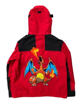 Fire Type Pokemon Mountain Red Jacket