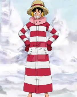 Luffy Winter Outfit