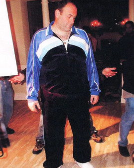 Tony Soprano The Sopranos Blue Tracksuit