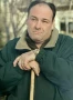 James Gandolfin The Sopranos Green Cotton Jacket