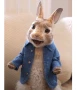 James Corden Movie Peter Rabbit 2 The Runaway Blue Jacket