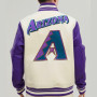 Men and Women Arizona Diamondbacks MLB Team Varsity Jacket