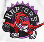 Toronto Raptors Warm Up  Button Closure Jacket