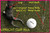 G.I.F.T. PACK #3 - Upright Golf Stick, Putting Pack, Telescopic Ball Pick Up Tool, & (2) pks. of Right-Height Tees