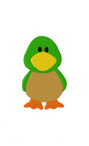 Mallard Duck Mallard Duck