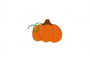 Pumpkin Vine 15 Pumpkin Vine 15