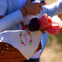 Tulip Farm Afternoon Getaway Tulip Farm Afternoon Getaway