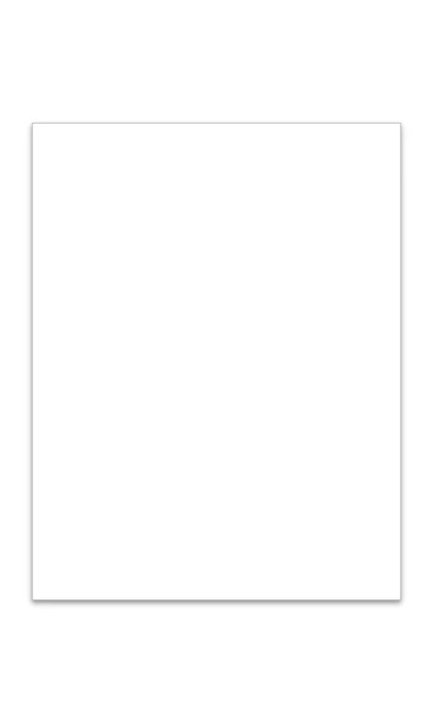 Exterior Vehicle Information Laser Window Stickers - Blank