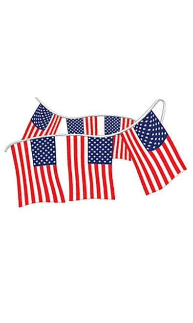 Plastic American Flag Pennant