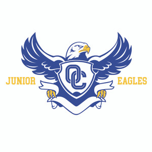 JrEagles - Jr Eagles Logo