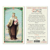 Our Lady Of Mt. Carmel Laminated Prayer Cards