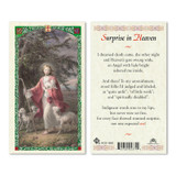 Surprise In Heaven Laminated Prayer Cards