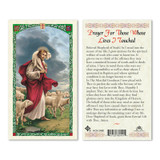 The Good Shepherd / Lives I Touched Laminated Prayer Cards
