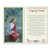 Jesus Overlooking Bethleham / Prayer For A Retreat Laminated Prayer Cards