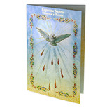 Holy Spirit Book of Spanish Prayers and Devotion