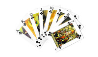 Holy Playing Cards: Saints Edition