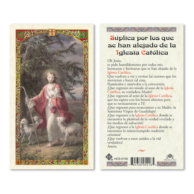 Suplica A Los Alejados Spanish Laminated Prayer Cards