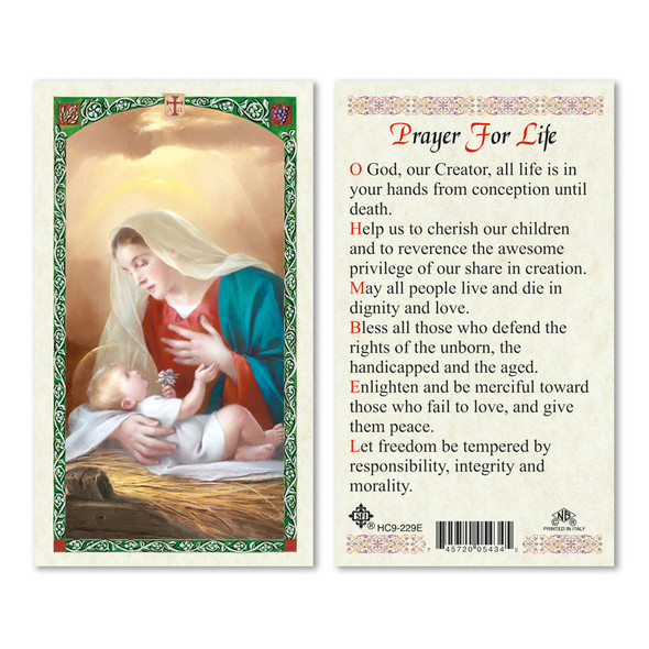 Madonna Prayer For Life  Laminated Prayer Cards