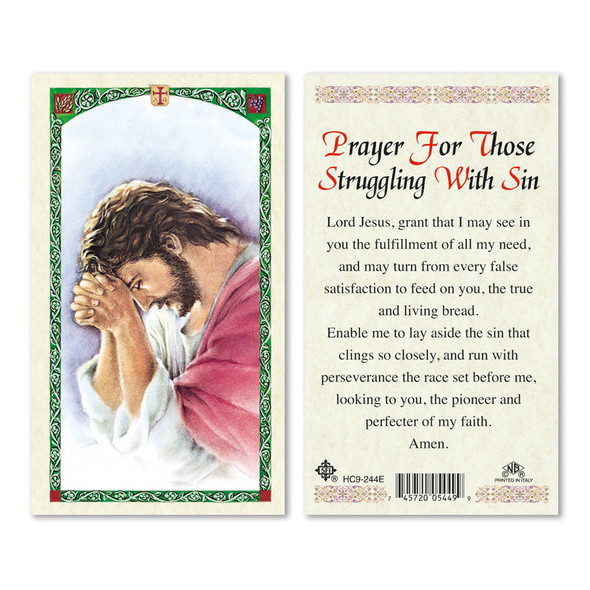 Sacred Heart Of Jesus Struggling With Sin Laminated Prayer Cards