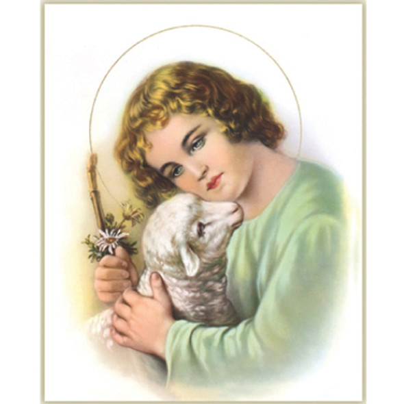 JESUS CHILD  W/SHEEP CARDED 8x10 PRINT FOR FRAMING