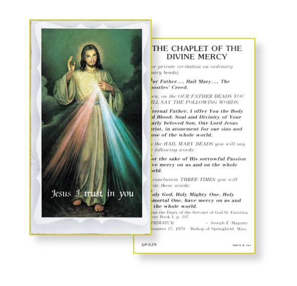 Chaplet of the Divine Mercy Holy Card