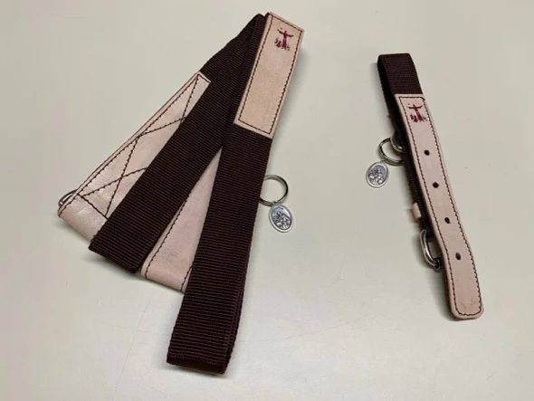 St. Francis Leather Dog Leash & Collar