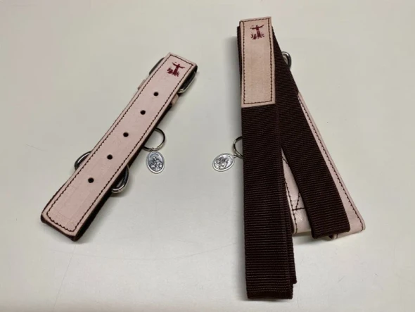 St. Francis Leather Dog Leash & Collar