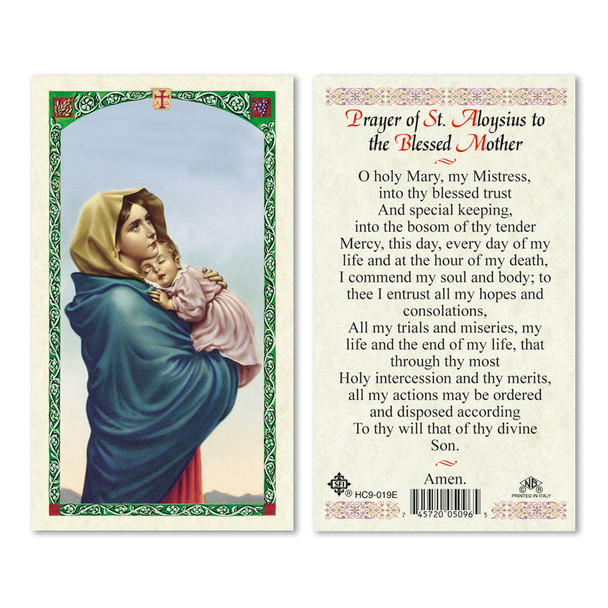 Madona Prayer To Saint Aloysius Laminated Prayer Cards