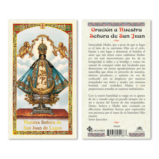 Virgen De Los Lagos Spanish Laminated Prayer Cards