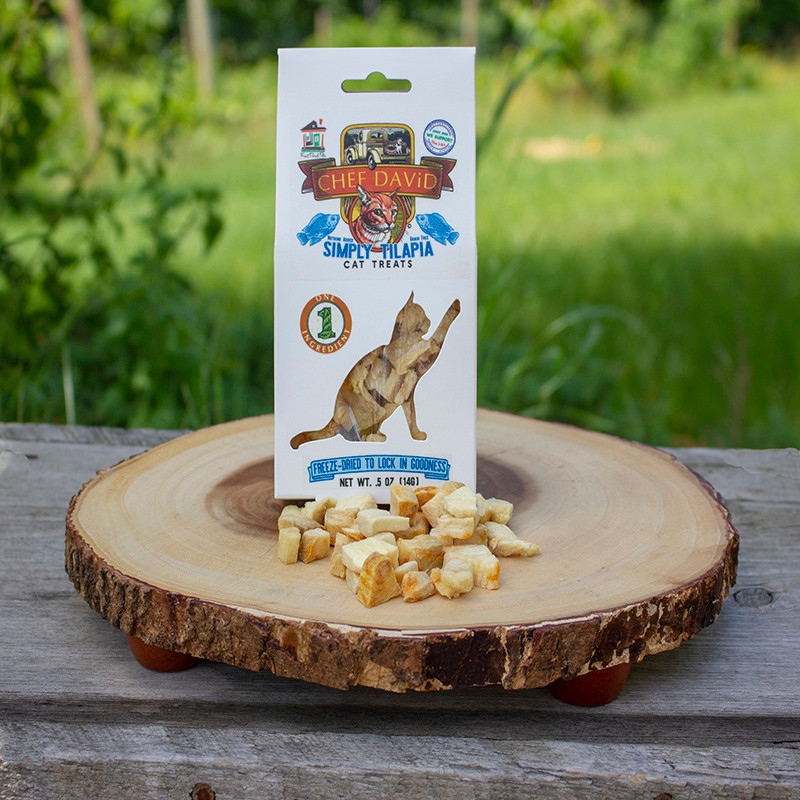 Cat Front Porch Pets Wholesale