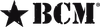 BRAVO COMPANY