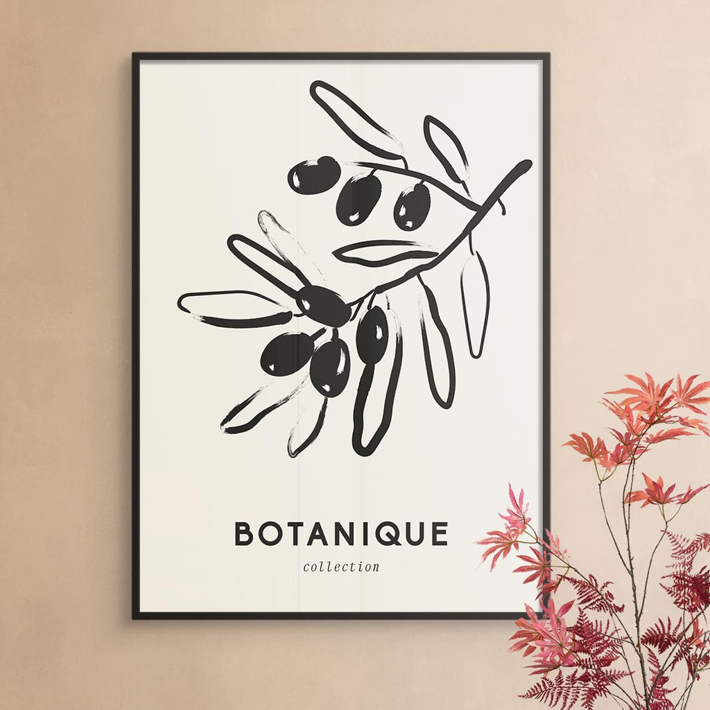 Botanique Collection, Line Olive
