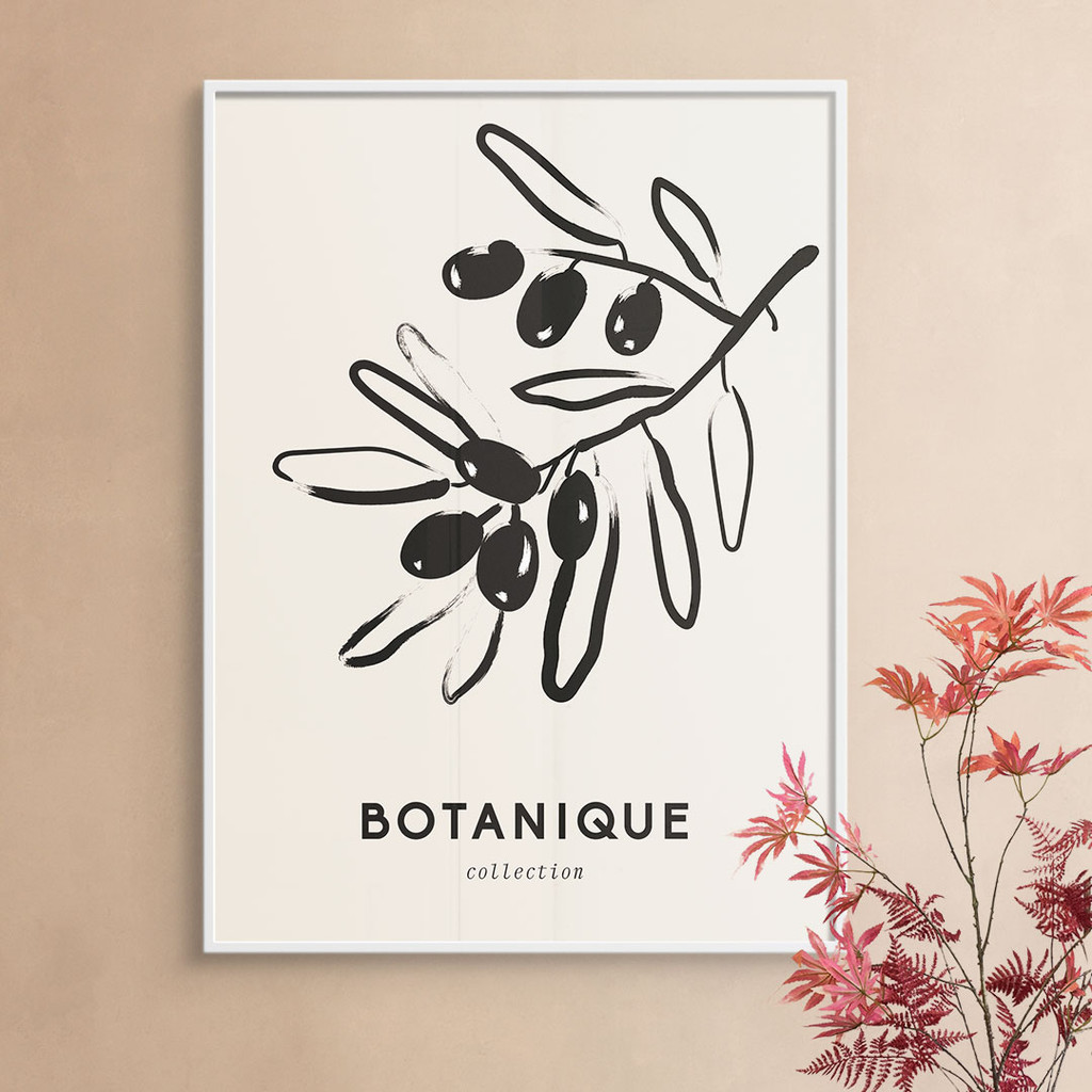 Botanique Collection, Line Olive