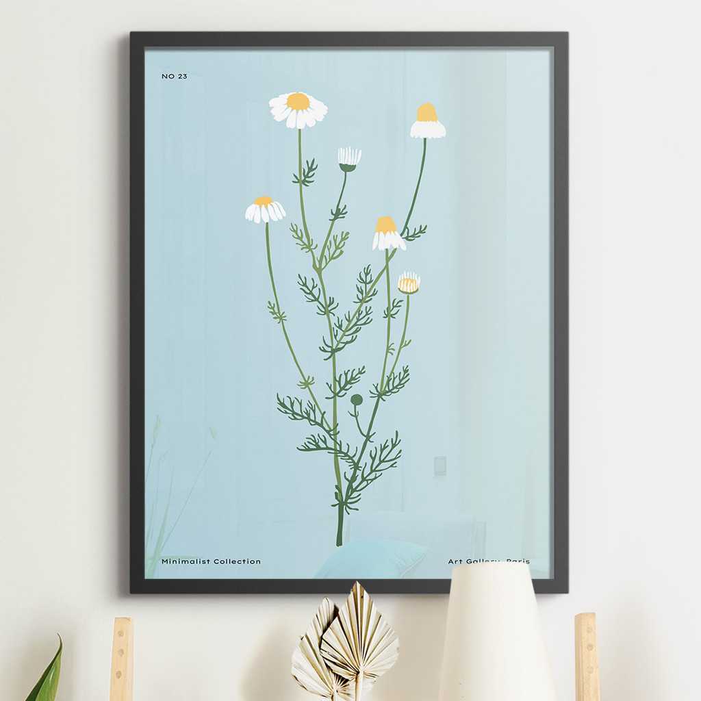 Art Gallery, Minimalist Collection, Chamomile