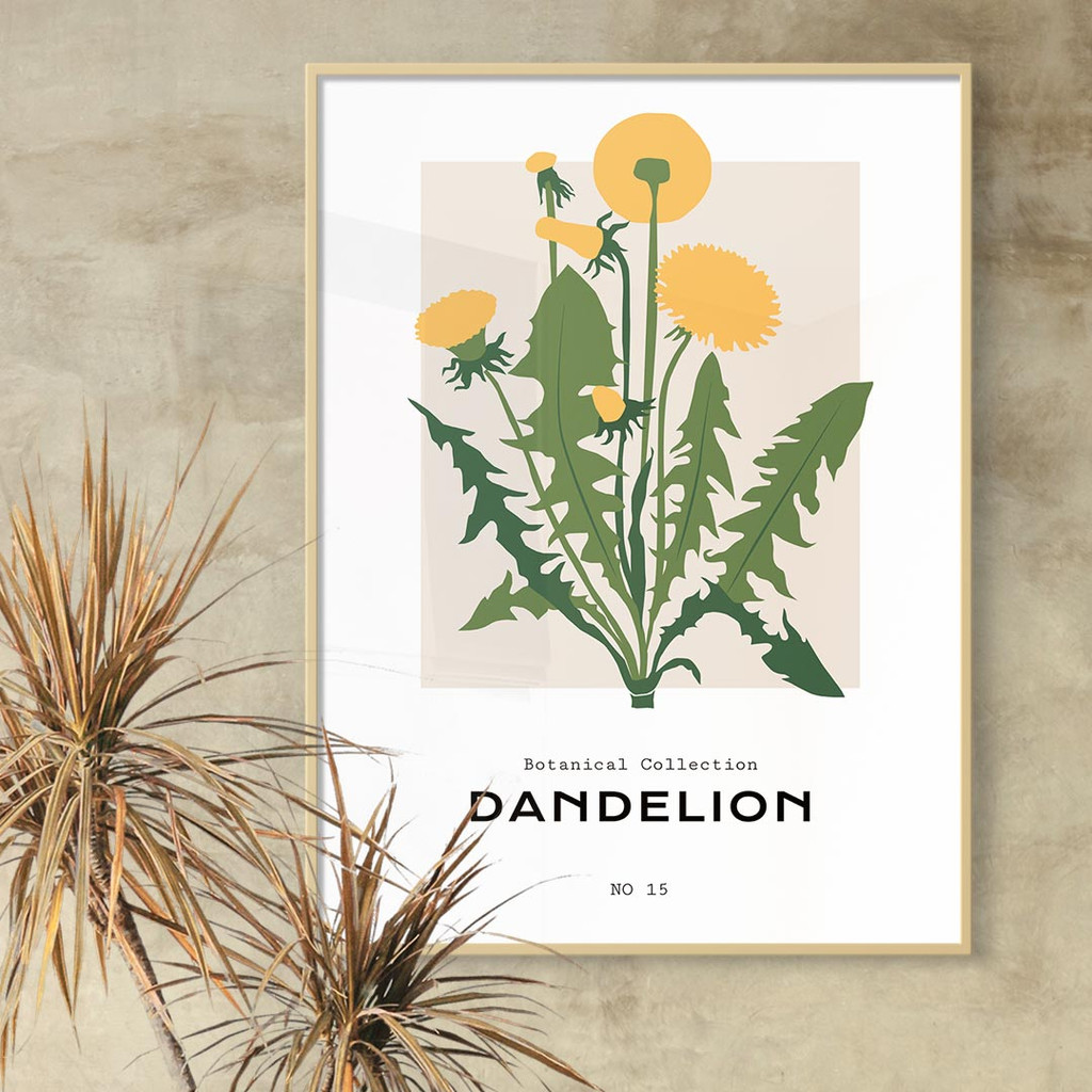 Botanical Collection, Dandelion No. 15