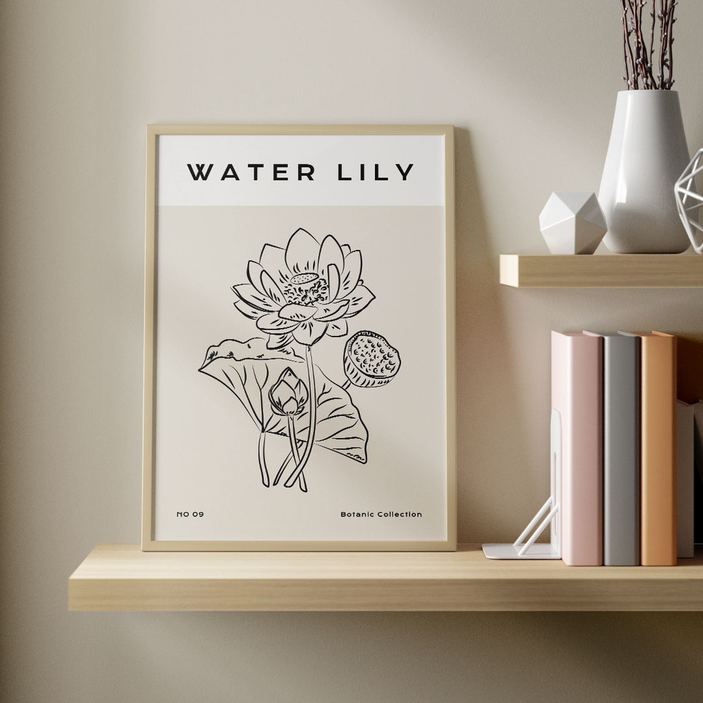 Water Lily, Botanic Collection No. 09