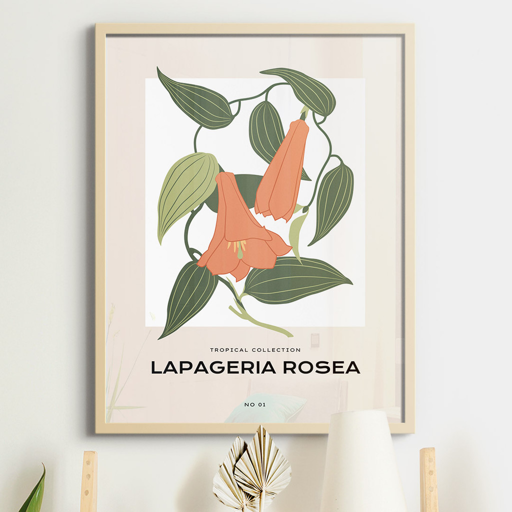 Tropical Collection, Lapageria Rosea No. 01