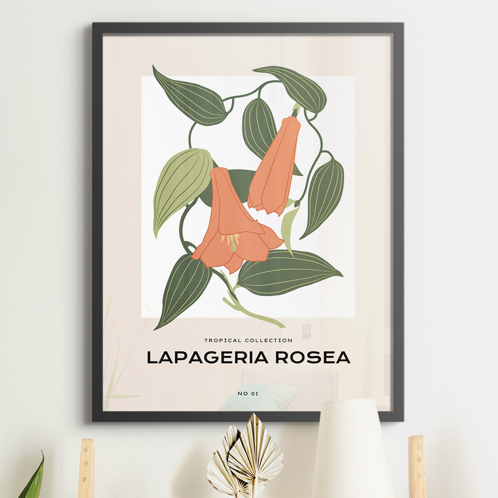 Tropical Collection, Lapageria Rosea No. 01