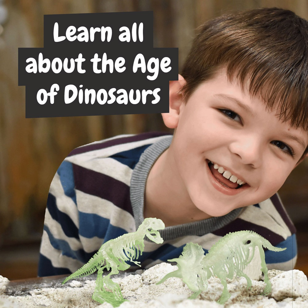 2 in 1 Fossil Excavation Kit I. Εκπαιδευτικό παιχνίδι για παιδιά
