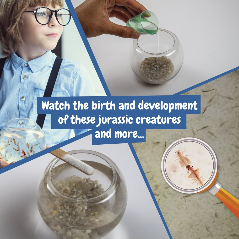 Jurassic Pets Kit I. Εκπαιδευτικό παιχνίδι για παιδιά